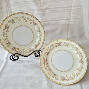 Vintage Noritake Columbine Dinner Plates, Floral China (Set of 2)
